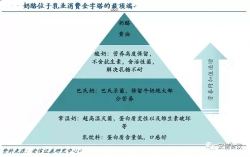  尼斯主场草皮质量遭质疑，联盟介入调查整改方案  